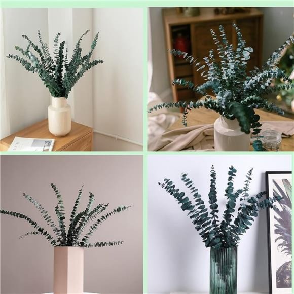 10 Pack Natural Dried Eucalyptus Bundle,17 inch/45cm Preserved Fresh Eucalyptus - Picture 6 of 7